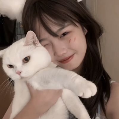 月色长歌破解版下载