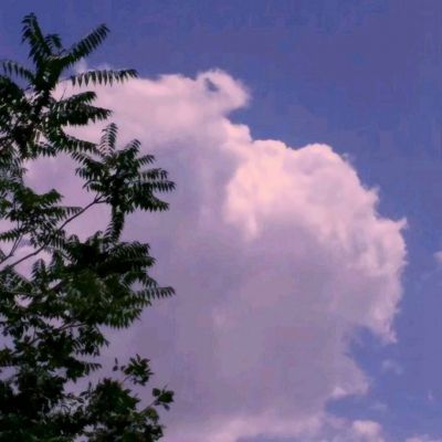 重装战姬日版下载